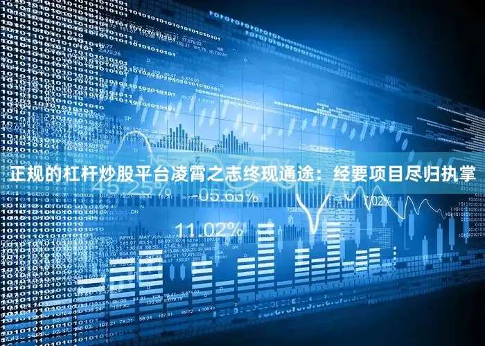正规的杠杆炒股平台凌霄之志终现通途：经要项目尽归执掌